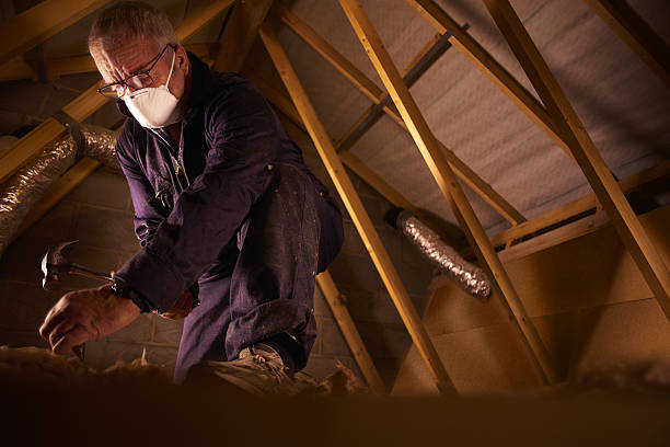 Best Eco-Friendly Insulation in Ironwood, MI